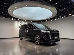 2023 Hongqi HQ9 2.0T Zhilian Qiling, чёрный — фото 12