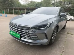 2024 BYD Destroyer 05 DM-i PHEV 55km Luxury — фото 2