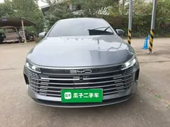 2024 BYD Destroyer 05 DM-i PHEV 55km Luxury — фото 3