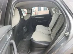 2024 BYD Destroyer 05 DM-i PHEV 55km Luxury — фото 17