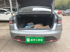 2024 BYD Destroyer 05 DM-i PHEV 55km Luxury — фото 19