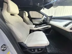 2024 BYD Song L EV 550km Excellence — фото 9