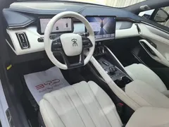 2024 BYD Song L EV 550km Excellence — фото 13