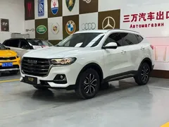 2021 Haval H6 1.5T AT Guochao Urban, белый — фото 1
