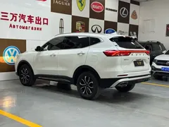 2021 Haval H6 1.5T AT Guochao Urban, белый — фото 4