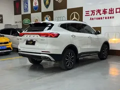 2021 Haval H6 1.5T AT Guochao Urban, белый — фото 6