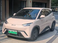 2025 BYD Seagull 305km Vitality — фото 1