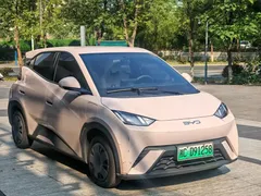 2025 BYD Seagull 305km Vitality — фото 3