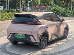2025 BYD Seagull 305km Vitality — фото 9