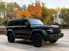2021 Tank 300 Off-road 2.0T Conqueror, чёрный — фото 4