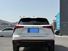 2022 Haval Shenshou 1.5T, белый — фото 8
