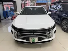 2024 BYD Destroyer 05 DM-i PHEV 55km Luxury, белый — фото 2