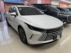 2024 BYD Destroyer 05 DM-i PHEV 55km Luxury, белый — фото 3