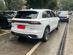 2023 Geely Monjaro 2.0TD High Power AT 2WD Flagship, белый — фото 4