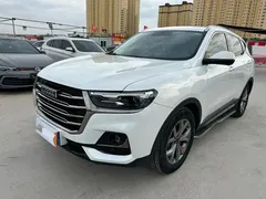 2021 Haval H6 1.5GDIT AT Guochao Champion, белый — фото 1
