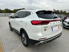2021 Haval H6 1.5GDIT AT Guochao Champion, белый — фото 4