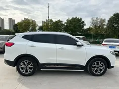 2021 Haval H6 1.5GDIT AT Guochao Champion, белый — фото 5