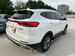 2021 Haval H6 1.5GDIT AT Guochao Champion, белый — фото 6