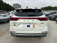 2021 Haval H6 1.5GDIT AT Guochao Champion, белый — фото 7