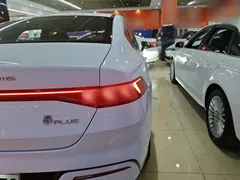 2024 BYD Qin PLUS Honor DM-i PHEV 55km Leading, белый — фото 8
