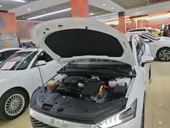 2024 BYD Qin PLUS Honor DM-i PHEV 55km Leading, белый — фото 20