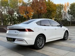2024 BYD Qin PLUS EV 420km Leading, белый — фото 5