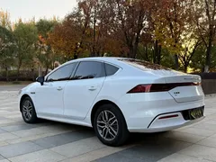 2024 BYD Qin PLUS EV 420km Leading, белый — фото 6