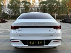 2024 BYD Qin PLUS EV 420km Leading, белый — фото 7