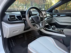 2024 BYD Qin PLUS EV 420km Leading, белый — фото 15