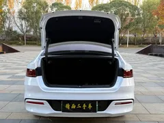 2024 BYD Qin PLUS EV 420km Leading, белый — фото 19