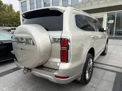 2022 Tank 500 3.0T Business 5-seat — фото 7