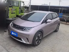 2024 BYD Dolphin Glory 420km Freedom — фото 1