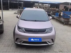 2024 BYD Dolphin Glory 420km Freedom — фото 2