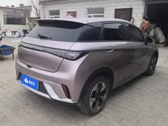 2024 BYD Dolphin Glory 420km Freedom — фото 3