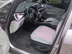 2024 BYD Dolphin Glory 420km Freedom — фото 9