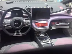2024 BYD Dolphin Glory 420km Freedom — фото 12