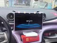 2024 BYD Dolphin Glory 420km Freedom — фото 13