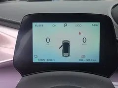 2024 BYD Dolphin Glory 420km Freedom — фото 14