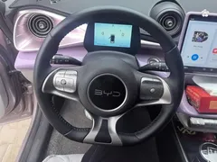 2024 BYD Dolphin Glory 420km Freedom — фото 15