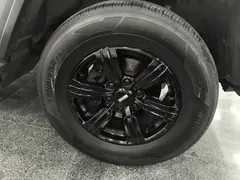 2021 Tank 300 Off-road 2.0T Challenger — фото 6
