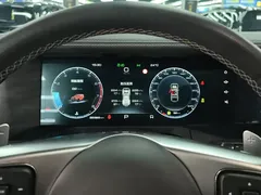 2021 Tank 300 Off-road 2.0T Challenger — фото 14
