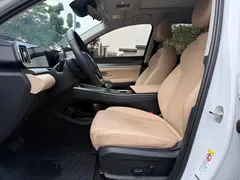 2025 BYD Song Pro 2nd Gen DM-i PHEV 115KM Exceed, белый — фото 6