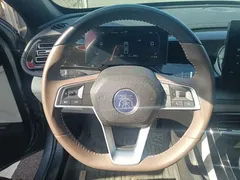 2024 BYD Qin PLUS Honor DM-i PHEV 55km Leading — фото 10