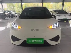 2025 BYD Seagull Smart Driving 305km Freedom, белый — фото 3