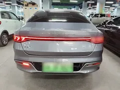 2023 BYD Qin PLUS Champion EV 510km Leading — фото 6
