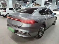 2023 BYD Qin PLUS Champion EV 510km Leading — фото 7