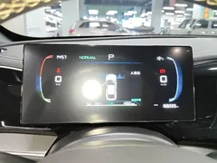 2023 BYD Qin PLUS Champion EV 510km Leading — фото 12