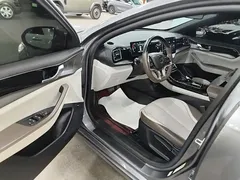 2023 BYD Qin PLUS Champion EV 510km Leading — фото 16