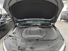 2023 BYD Qin PLUS Champion EV 510km Leading — фото 20