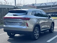 2023 Haval H6 1.5T AT Guochao Champion — фото 9
